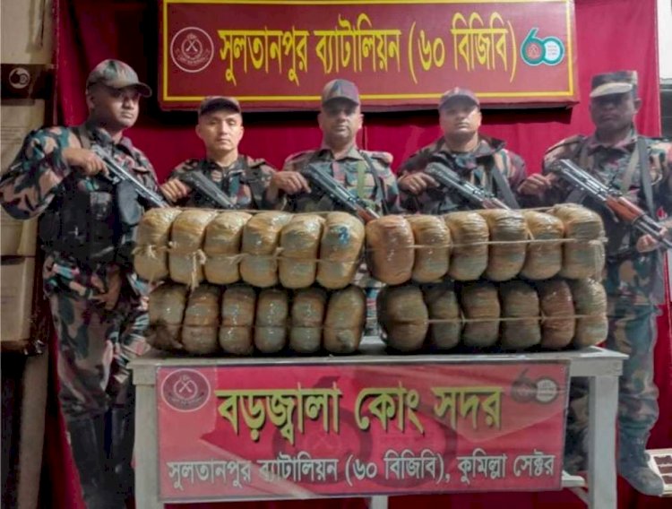 সুলতানপুর ৬০ বিজিবি কর্তৃক  ভারতীয় গাঁজা জব্দ
