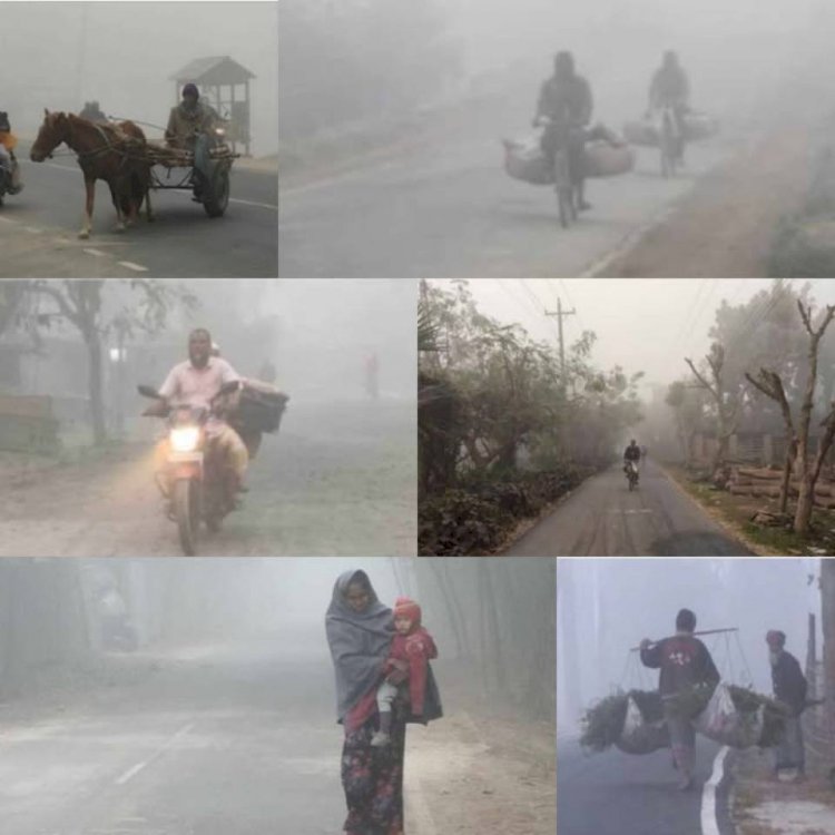 নওগাঁসহ সারাদেশে জেঁকে বসেছে শীত ১০.৩ ডিগ্রি তাপমাত্রায় জীবনযাত্রা ব্যাহত ঘন কুয়াশা থাকবে আরও ৩ দিন
