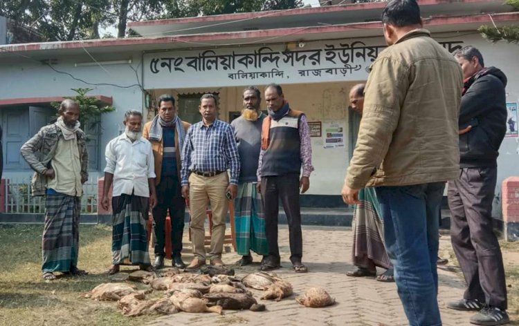 বালিয়াকান্দিতে বিষ প্রয়োগে ২১ টি হাঁস মারাযাবার অভিযোগ