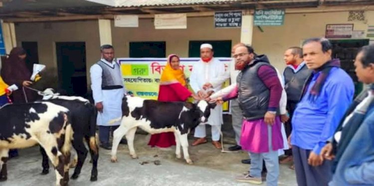 পাবনার চাটমোহরে নারীদের হাতে গরুর রশি ধরিয়ে দিয়ে ফটোসেশন মানবসেবা উন্নয়ন সংস্থার প্রতারণার নতুন কৌশল