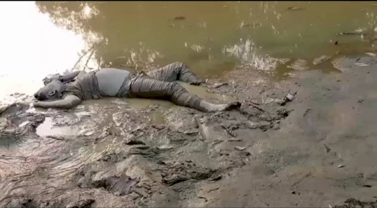 নাইক্ষ্যংছড়ি'র ঘুমধুমে এক অজ্ঞাত ব্যক্তির লাশ!