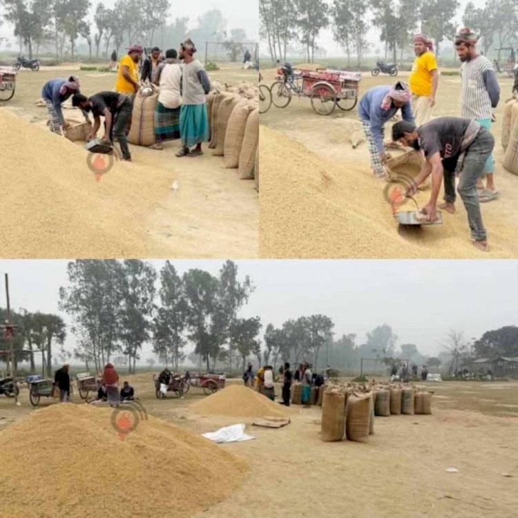 নওগাঁ মহাদেবপুর উপজেলার চকগৌরী  হাটসহ বিভিন্ন হাটগুলোতে সিন্ডিকেট ও ফড়িয়াদের দৌরাত্ম্য বেড়েছে!