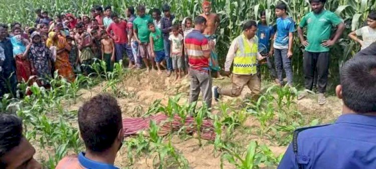 ঠাকুরগাঁওয়ে ভুট্টাক্ষেত থেকে নারীর মরদেহ উদ্ধার স্বামী পলাতক