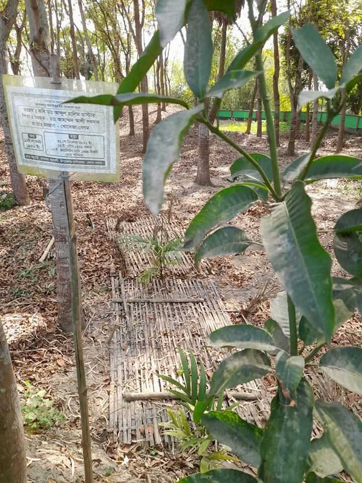 একদিন কবর স্থানে