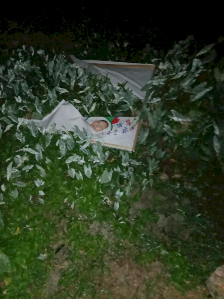 ভোলার বোরহানউদ্দিনে রাতের আধারে বিএনপির ভারপ্রাপ্ত চেয়ারম্যান জনাব তারেক রহমান এর পক্ষে এড. এবি এম ইব্রাহিম খলিল  এর পক্ষের ঈদ শুভেচ্ছা ব্যানার উধাও।