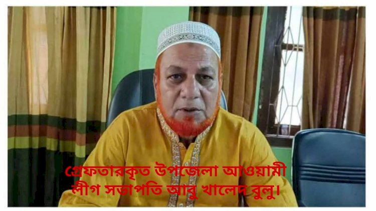 বিস্ফোরক মামলায় বদলগাছী উপজেলা আওয়ামীলীগের সভাপতি বুলু গ্রেফতার