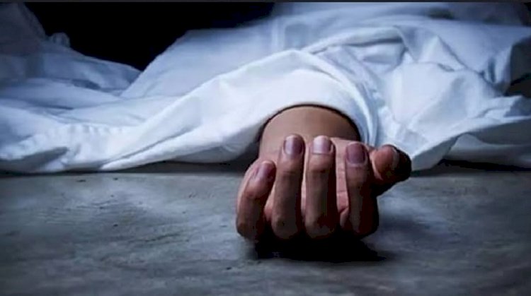 মির্জাগঞ্জে গাছ চাপা পরে এক শ্রমিক নিহত