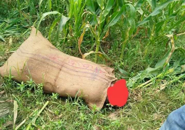 শিবপুর দুলালপুরে বস্তাবদ্ধী লাশ উদ্ধার