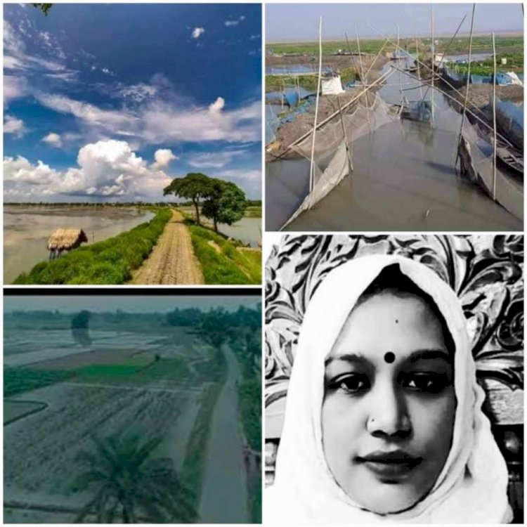 নিমন্ত্রন আসতে চলনবিলে - এস এম মনিরুজ্জামান আকাশ