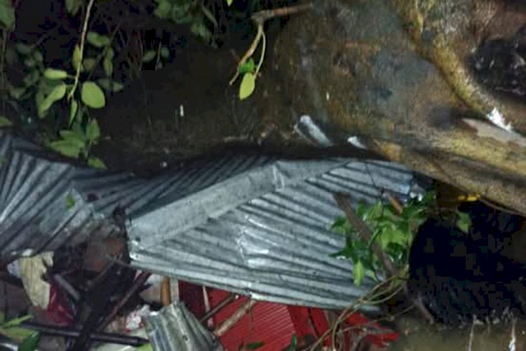 গোবিন্দগঞ্জে ঝড়ের রাতে বটগাছ ভেঙে চা দোকানে থাকা শাপলার মৃত্যু, বেঁচে গেছেন স্বামী খোকা মিয়া