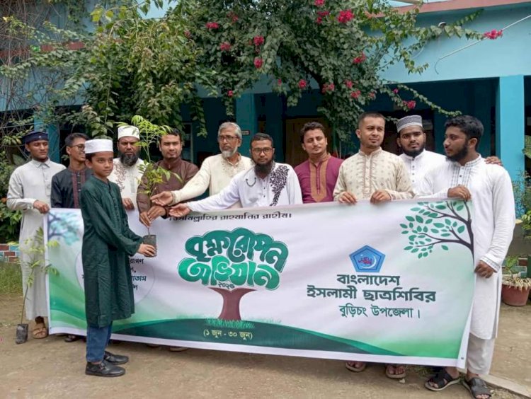 বুড়িচংয়ে ইসলামী ছাত্রশিবিরের বৃক্ষরোপণ কর্মসূচি পালিত
