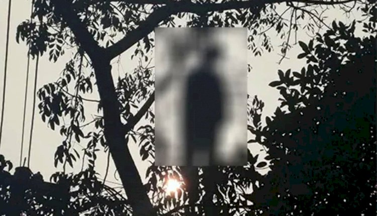 গাজীপুরের শ্রীপুরে কাঁঠাল গাছে ঝুলন্ত যুবকের মরদেহ উদ্ধার