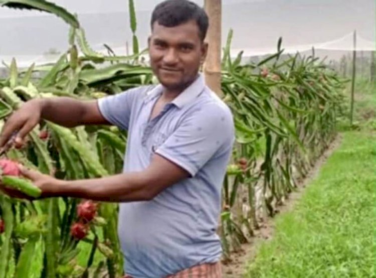 নওগাঁর মহাদেবপুরে ড্রাগন ফল চাষ করে সফল হচ্ছেন প্রন্তিক কৃষক