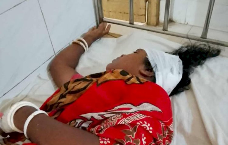 নওগাঁর মহাদেবপুরে জমিজমা বিরোধের জের শ্রীমতি ছবিতা রানীকে মারধর, থানায় অভিযোগ