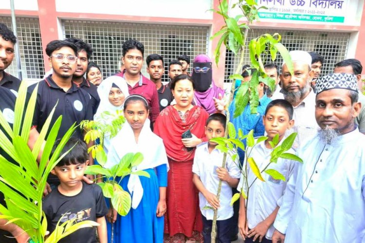 হোমনা যুব স্বেচ্ছাসেবী ফোরামের উদ্যোগে গাছের চারা বিতরণ