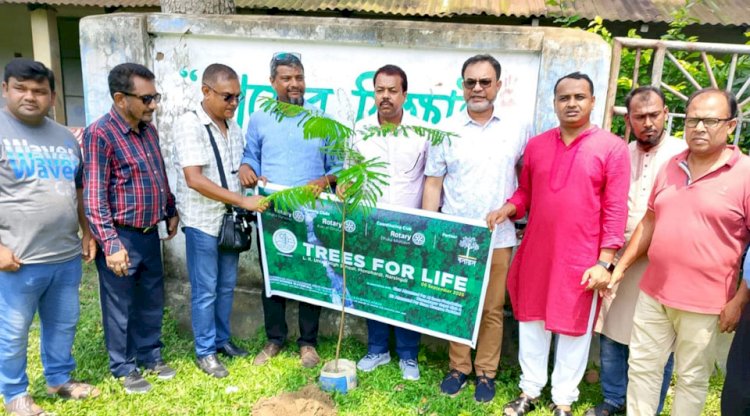 মনোহরদীতে রোটারি ক্লাবের উদ্যোগে বৃক্ষরোপণ কর্মসূচি অনুষ্ঠিত
