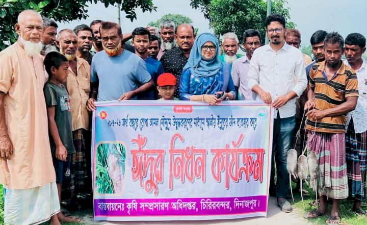 চিরির বন্দর উপজেলায়   জেলা কৃষি সম্প্রসারণ অধিদপ্তরের  আওতায়,