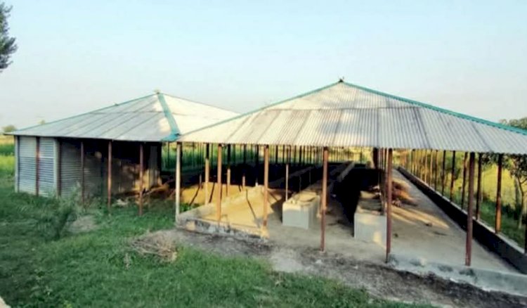 নওগাঁর রাণীনগর খাঁনপুকুর-রাতোয়াল এলাকায় চরমপন্থীদের কোটি টাকার প্রকল্প এখন ‘ভূতের বাড়ি দেখার কেউ নেই