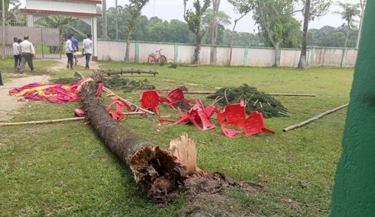 বুড়িচংয়ে এসএসসি পরীক্ষার্থীদের বিদায় অনুষ্ঠানে গাছ উপড়ে ৩ শিক্ষার্থী আহত
