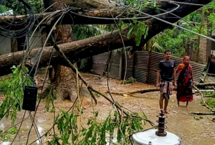 কেশবপুরে কালবৈশাখী ঝড়ে ব্যাপক ক্ষয়ক্ষতি, ঘরবাড়ি ল*ন্ডভ*ন্ড, বিদ্যুৎ বিপর্যয়
