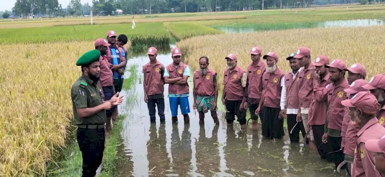 পানিতে ডোবা কৃষকের ধান কেটে দিলেন আনসার-ভিডিপি সদস্যরা কুড়িগ্রামে মানবিক উদ্যোগে প্রশংসায় ভাসছে বাহিনী