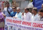 রাজশাহীতে পশু নিষ্ঠুরতার বিরুদ্ধে ধর্মঘটের গুরুত্ব তুলে ধরে মানববন্ধন