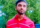হোমনায় গাছ কাটতে গিয়ে গাছ থেকে পড়ে যুবক নিহত
