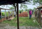 সংবাদ প্রকাশের পরদিনই বুড়িচংয়ে অবৈধ পশুর হাটে প্রশাসনের অভিযান