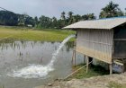 কেশবপুরে অবৈধভাবে ভূগর্ভস্থ পানি উত্তোলন  করায় ১০ হাজার টাকা অর্থদণ্ড আরোপ