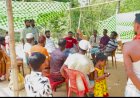 বিয়েতে উপহার হিসেবে চোরাই গরু, এলাকায় চাঞ্চল্য!