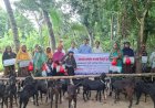 বালিয়াকান্দিতে আয়বর্ধক কর্মসূচির আওতায় বিনামূল্যে ছাগল বিতরণ