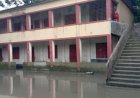সিরাজগঞ্জ পৌরসভার মধ্যে  ঘুরকা সরকারি প্রাথমিক বিদ্যালয়ে চরম জলাবদ্ধতা, ডেঙ্গুর ঝুঁকিতে শিক্ষার্থী ও এলাকাবাসী