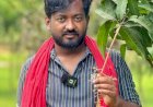 বিয়ের প্রলোভনে তরুণীকে আটকে রেখে ধর্ষণের চেষ্টা, অভিযুক্ত ‘ম্যাংগো লাভার’ মুরাদের বিরুদ্ধে মামলা