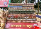 কুমিল্লা সীমান্তে কঠোর বার্তা: তিন বছরে জব্দকৃত প্রায় ৫২ কোটির মাদক ধ্বংস করল বিজিবি