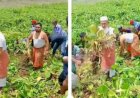 কেশবপুরে নিজহাতে কচুরিপানা অপসারণ  করলেন এমপি মোক্তার আলী