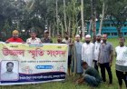 কেশবপুরে বিভিন্ন মাদ্রাসা ও এতিমখানায়  উজ্জ্বল স্মৃতি সংসদ-এর বৃক্ষরোপণ
