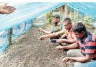 সাগরদাঁড়ীতে এক আনসার কমান্ডার তৈরি  করছেন জৈব সার, কীটনাশক ও ছত্রাকনাশক