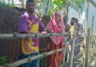 পল্লী বিদ্যুতের খুঁটি বসানো নিয়ে বিরোধ রাজবাড়ীতে বাড়ীর প্রবেশপথে বাঁশের বেড়া হাটুপানি দিয়ে ৪টি পরিবারের চলাচল