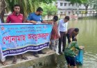 কেশবপুরে বিভিন্ন জলাশয়ে পোনামাছ  অবমুক্তকরণ