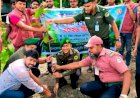 পাবনার চাটমোহরে আনসার ভিডিপি'র বৃক্ষ রোপণ কর্মসূচি