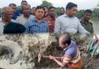কেশবপুরে সরকারি খাল দখলমুক্ত,  কেটে দেওয়া হলো ঘেরের বেড়ি