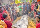 নওগাঁর ধামইরহাটে বাঁশঝাড় থেকে হালিমা বেগম নামে এক নারীর মরদেহ উদ্ধার