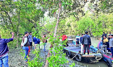 দস্যুমুক্ত নিরাপদ সুন্দরবনে এখন বাড়ছে পর্যটকের আনাগোনা। কয়েক বছরে আইনশৃঙ্খলা