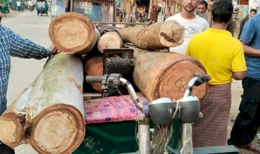 ঝিনাইগাতীতে এলজিইডি রাস্তার জব্দকৃত কাঠ নিয়ে নয়-ছয়