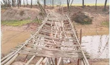 নওগাঁর বিদ্বেশ্বরীঘাটে ব্রীজের  অভাবে সুবিধা বঞ্চিত কৃষকরা ঝুঁকিপূর্ণ পারাপার হচ্ছে