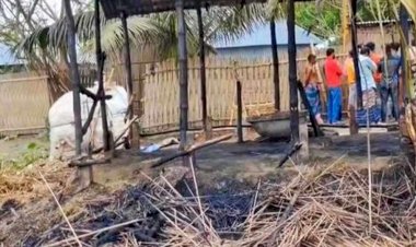 নড়াইলের লোহাগড়ায় আগুনে পুড়ল দিনমজুরের ৩ গরু,৫ লক্ষ টাকার ক্ষতি