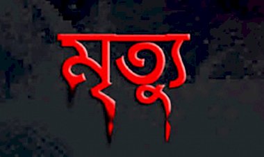 ঠাকুরগাঁওয়ে পানিতে ডুবে একই পরিবারের দুই শিশুর মৃত্যু