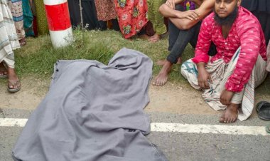 ফুলপুরে নামাজ শেষে বাজার করতে গিয়ে ট্রাক চাপায় মুসল্লীর মৃত্যু