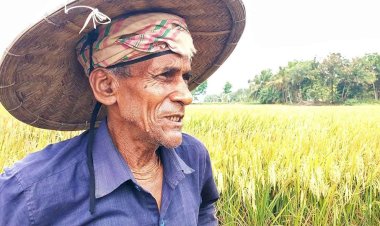 নড়াইলে বৈশাখের তাপমাত্রা যেন কোনভাবেই কমছে না। এমন গরম জীবনে দেখি নাই