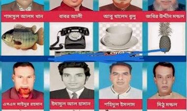 নওগাঁর বদলগাছী উপজেলা পরিষদ নির্বাচনে ৮ জন  চেয়ারম্যান প্রার্থী